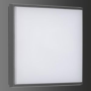 LCD Wand- und Deckenleuchte LED 5061