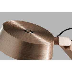 LED-Klemmleuchte DARK 15W rosegold