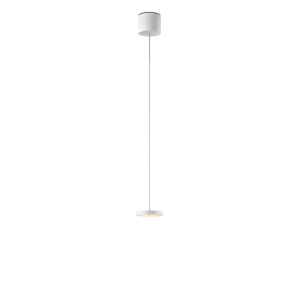 Oligo DECENT LED-Pendelleuchte mit Höhenverstellung