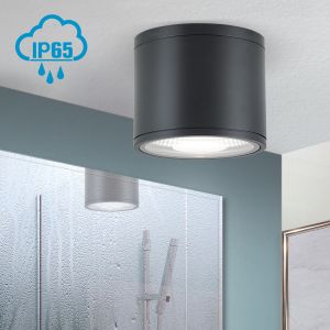 Orion LED-Deckenaußenleuchte 15cm SPUTNIK schwarz DL 7-665 schwarz