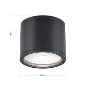 Orion LED-Deckenaußenleuchte 15cm SPUTNIK schwarz DL 7-665 schwarz