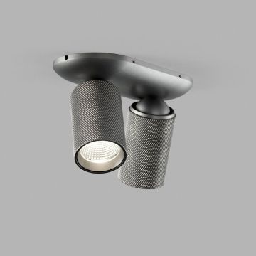 Light-Point 2er-LED-Spot RAW titan 270958