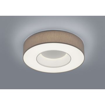 Helestra LOMO 45cm LED-Deckenleuchte 15/1800.07/9278