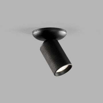 Light-Point LED-Spot RAW carbonschwarz 270950