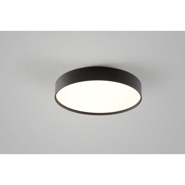 Light-Point LED-Wand-/Deckenleuchte SURFACE 30cm schwarz 257701
