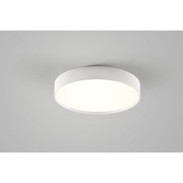 Light-Point LED-Wand-/Deckenleuchte SURFACE 50cm weiß 257705