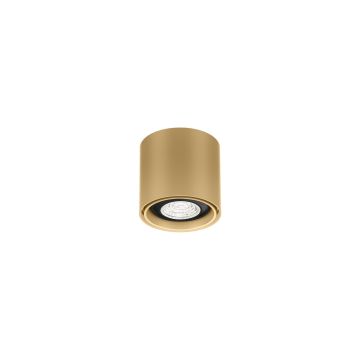 Wever & Ducré Deckenleuchte RAY MINI CEILING SURF 1.0 PAR16  258220
