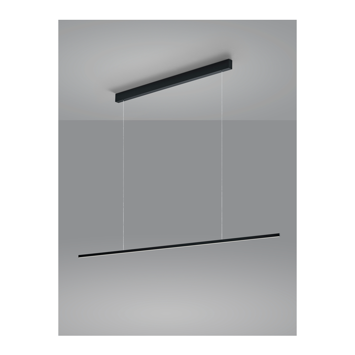 Helestra LED-Pendelleuchte LOOPY schwarz 16/2109.22