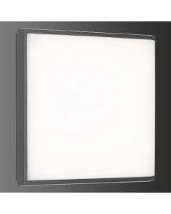 LCD Wand- und Deckenleuchte LED 5061