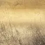 Braga Blattgold thumbnail